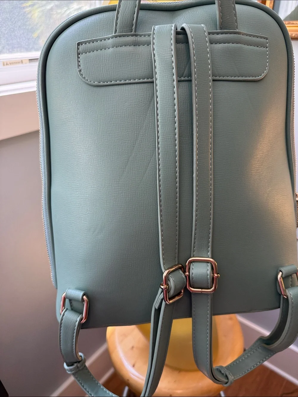 Miztique Sage Green Faux Leather Backpack